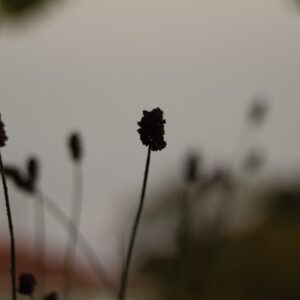 Geurige voeten? Zo verwijder je zweetgeur uit je schoenen