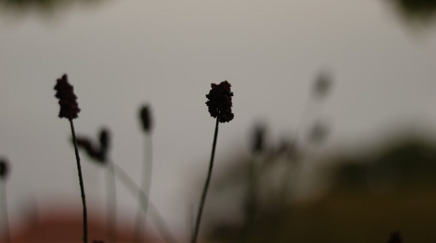 Geurige voeten? Zo verwijder je zweetgeur uit je schoenen Geurige voeten? Zo verwijder je zweetgeur uit je schoenen